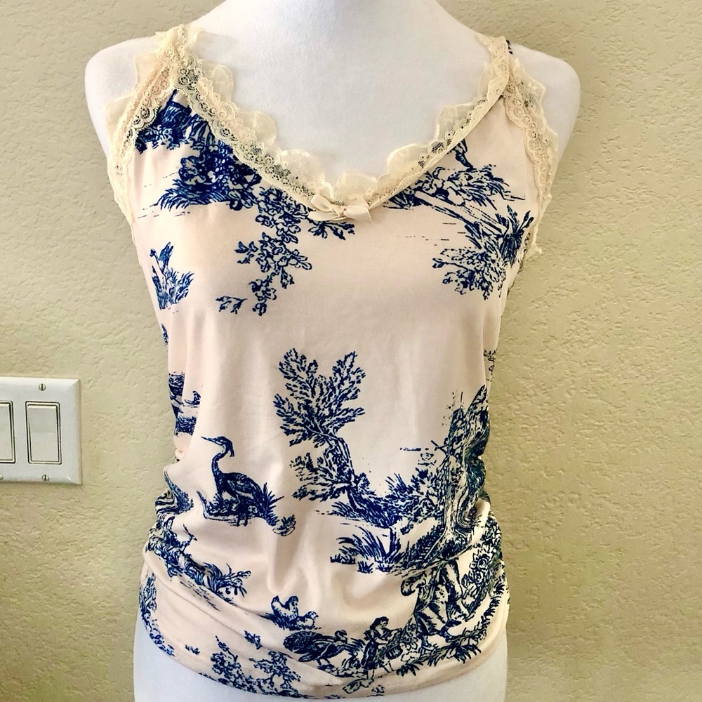 Cider Cream and Blue Toile Lace Chemise